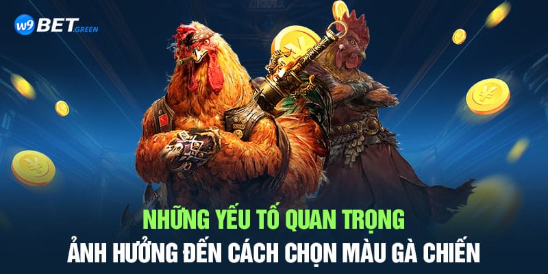 Những yếu tố quan trọng ảnh hưởng đến cách chọn màu gà chiến