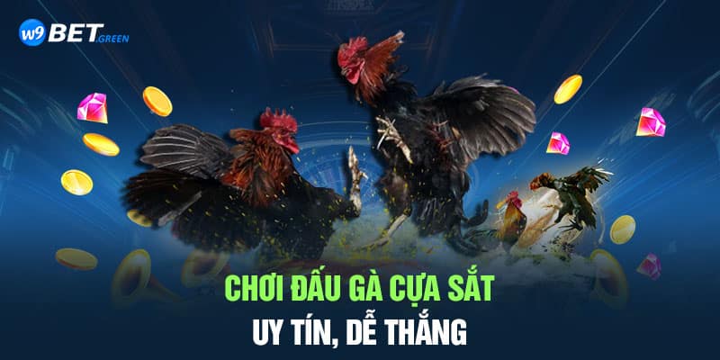 Chơi đấu gà cựa sắt uy tín, dễ thắng