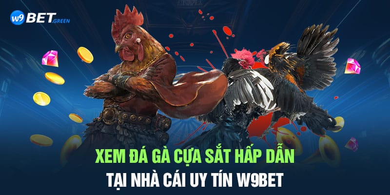 Xem đá gà cựa sắt hấp dẫn tại nhà cái uy tín W9bet