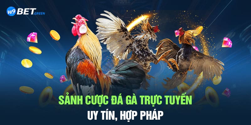 Sảnh cược đá gà trực tuyến uy tín, hợp pháp