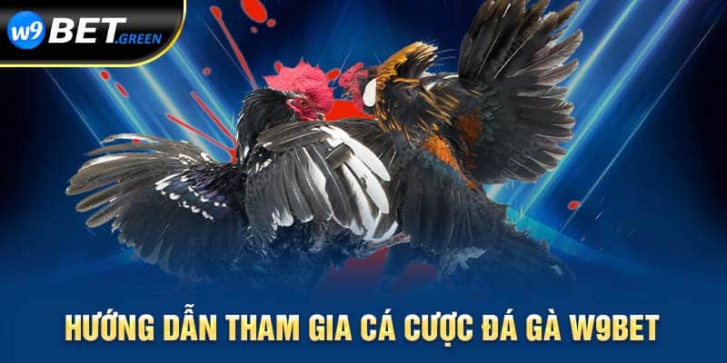 Hướng dẫn tham gia cá cược đá gà W9BET 