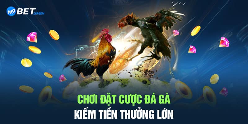 Chơi đặt cược đá gà kiếm tiền thưởng lớn