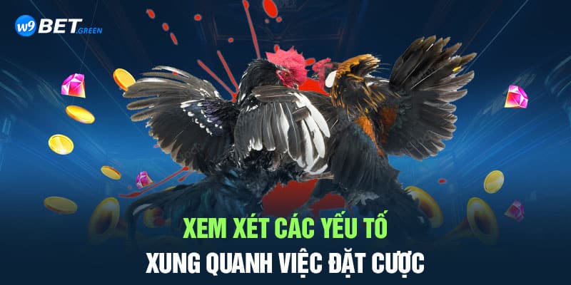 Xem xét các yếu tố xung quanh việc đặt cược