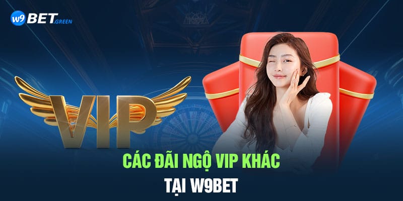 Các đãi ngộ vip khác tại W9BET