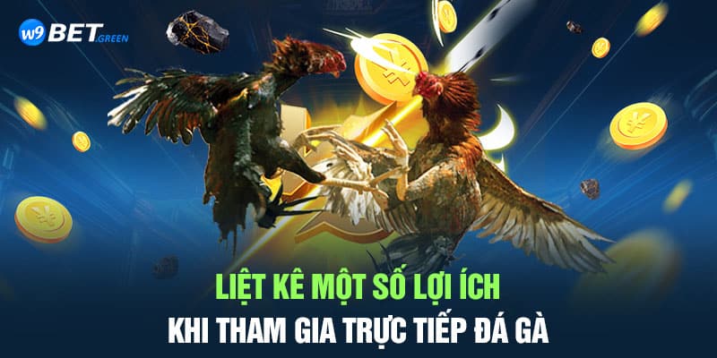 Liệt kê một số lợi ích khi tham gia trực tiếp đá gà 