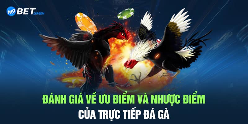 Đánh giá về ưu điểm và nhược điểm của trực tiếp đá gà