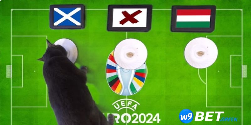 Những đánh giá tổng quan về cả hai đội tuyển Hungary vs Scotland